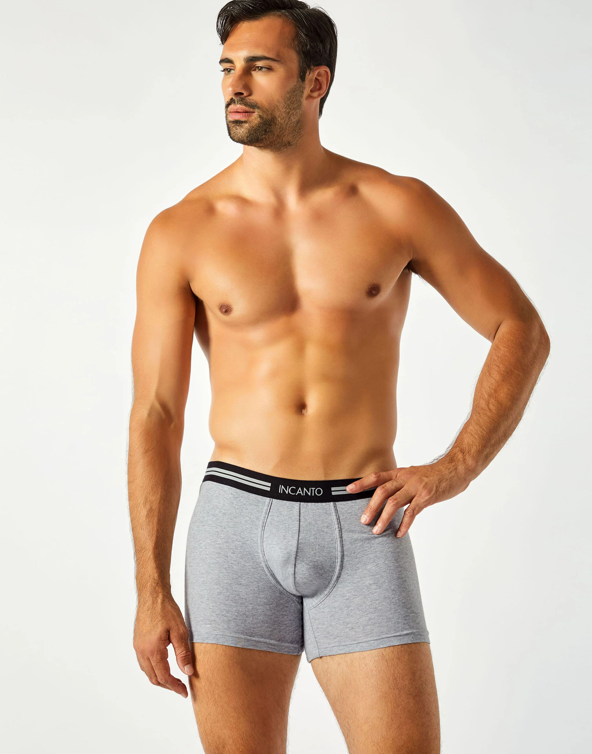 Boxer BU916 - Image 2